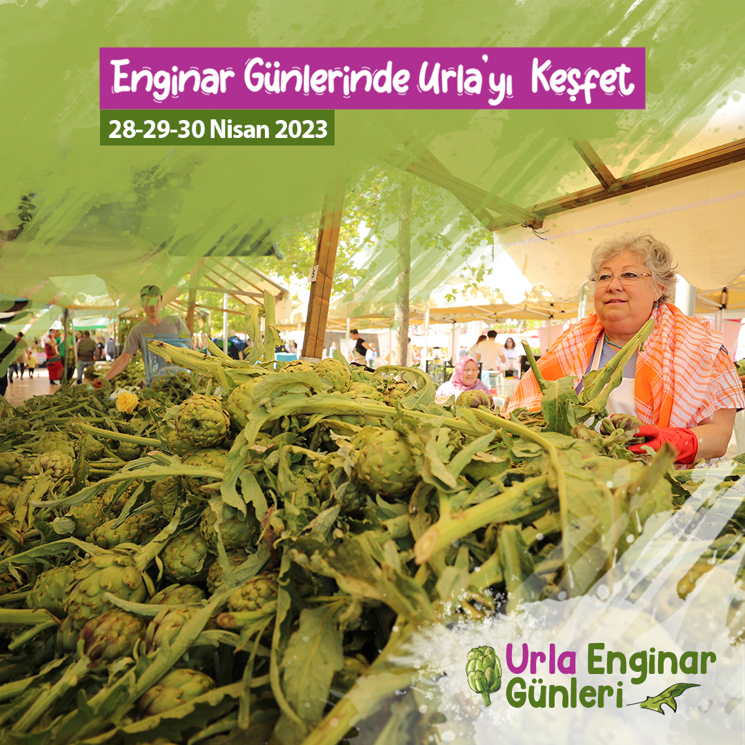 Uluslararası Eula Enginar Festivali