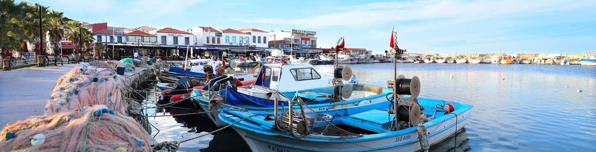 Uluslararası Urla Enginar Festivali